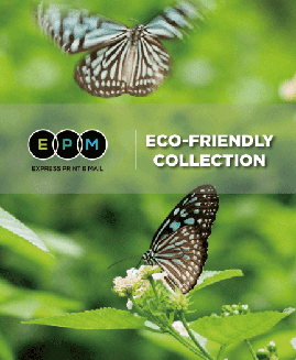 eco-friendly1